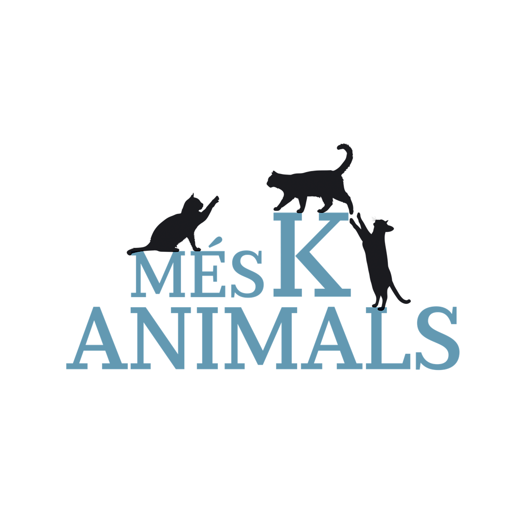 Voluntària de Més K Animals amb un gat