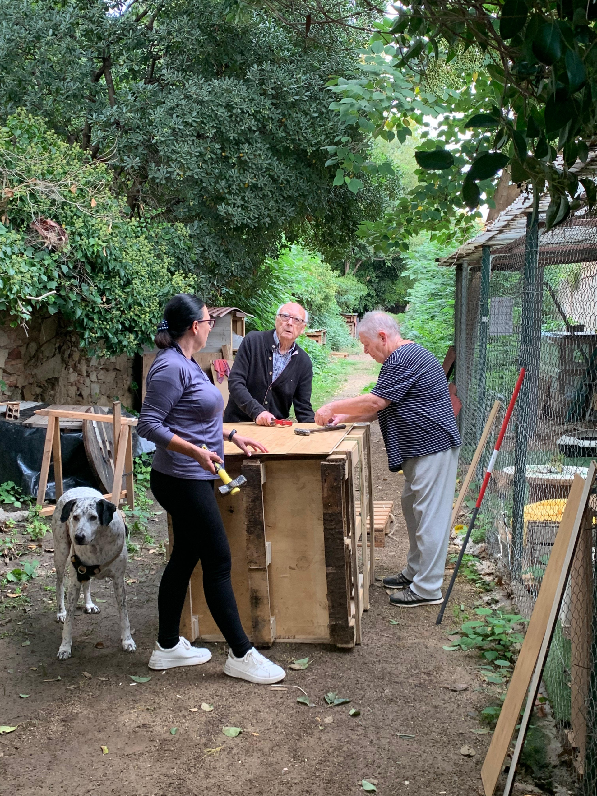 Voluntària equip 6